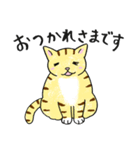表情ゆたかなねこたち（個別スタンプ：3）