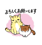 表情ゆたかなねこたち（個別スタンプ：4）