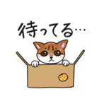 表情ゆたかなねこたち（個別スタンプ：5）