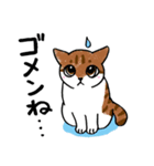 表情ゆたかなねこたち（個別スタンプ：9）