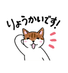 表情ゆたかなねこたち（個別スタンプ：11）