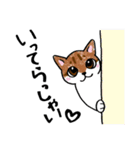 表情ゆたかなねこたち（個別スタンプ：17）