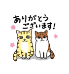 表情ゆたかなねこたち（個別スタンプ：18）