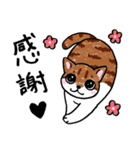 表情ゆたかなねこたち（個別スタンプ：19）
