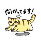 表情ゆたかなねこたち（個別スタンプ：20）