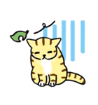 表情ゆたかなねこたち（個別スタンプ：22）