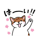 表情ゆたかなねこたち（個別スタンプ：26）
