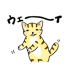 表情ゆたかなねこたち（個別スタンプ：33）