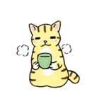 表情ゆたかなねこたち（個別スタンプ：34）
