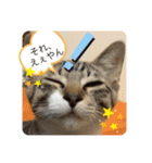 満天ライフ（個別スタンプ：5）
