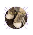 満天ライフ（個別スタンプ：7）