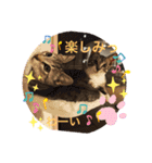 満天ライフ（個別スタンプ：10）