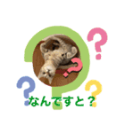 満天ライフ（個別スタンプ：11）