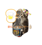満天ライフ（個別スタンプ：13）