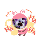お花で遊ぼう（個別スタンプ：1）