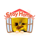 お花で遊ぼう（個別スタンプ：4）