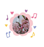 お花で遊ぼう（個別スタンプ：10）