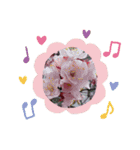お花で遊ぼう（個別スタンプ：15）