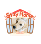 mysweet jj（個別スタンプ：4）