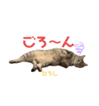 ヒロヒカスタンプ（個別スタンプ：2）
