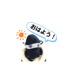 モンキーちゃん（M）（個別スタンプ：1）