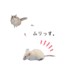 美猫のネイビス2（個別スタンプ：3）