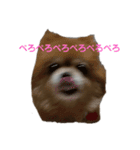 すみこ画伯（個別スタンプ：15）
