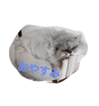めるもこ（個別スタンプ：5）