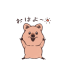 ワラビーくん（個別スタンプ：1）