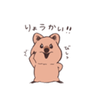 ワラビーくん（個別スタンプ：2）