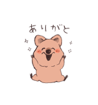 ワラビーくん（個別スタンプ：3）
