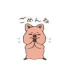 ワラビーくん（個別スタンプ：4）