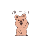 ワラビーくん（個別スタンプ：6）