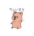 ワラビーくん（個別スタンプ：8）