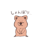 ワラビーくん（個別スタンプ：9）
