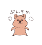 ワラビーくん（個別スタンプ：10）