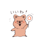 ワラビーくん（個別スタンプ：11）