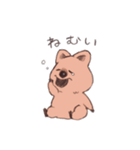 ワラビーくん（個別スタンプ：13）