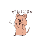 ワラビーくん（個別スタンプ：17）