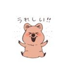 ワラビーくん（個別スタンプ：18）