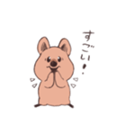 ワラビーくん（個別スタンプ：19）
