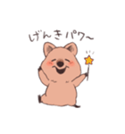 ワラビーくん（個別スタンプ：20）