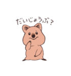 ワラビーくん（個別スタンプ：21）