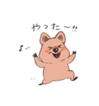 ワラビーくん（個別スタンプ：22）