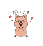 ワラビーくん（個別スタンプ：24）