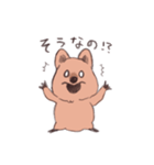 ワラビーくん（個別スタンプ：25）