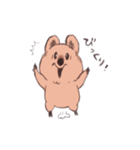 ワラビーくん（個別スタンプ：26）