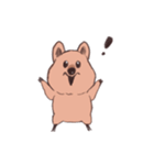 ワラビーくん（個別スタンプ：29）