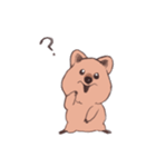 ワラビーくん（個別スタンプ：30）
