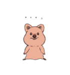 ワラビーくん（個別スタンプ：32）